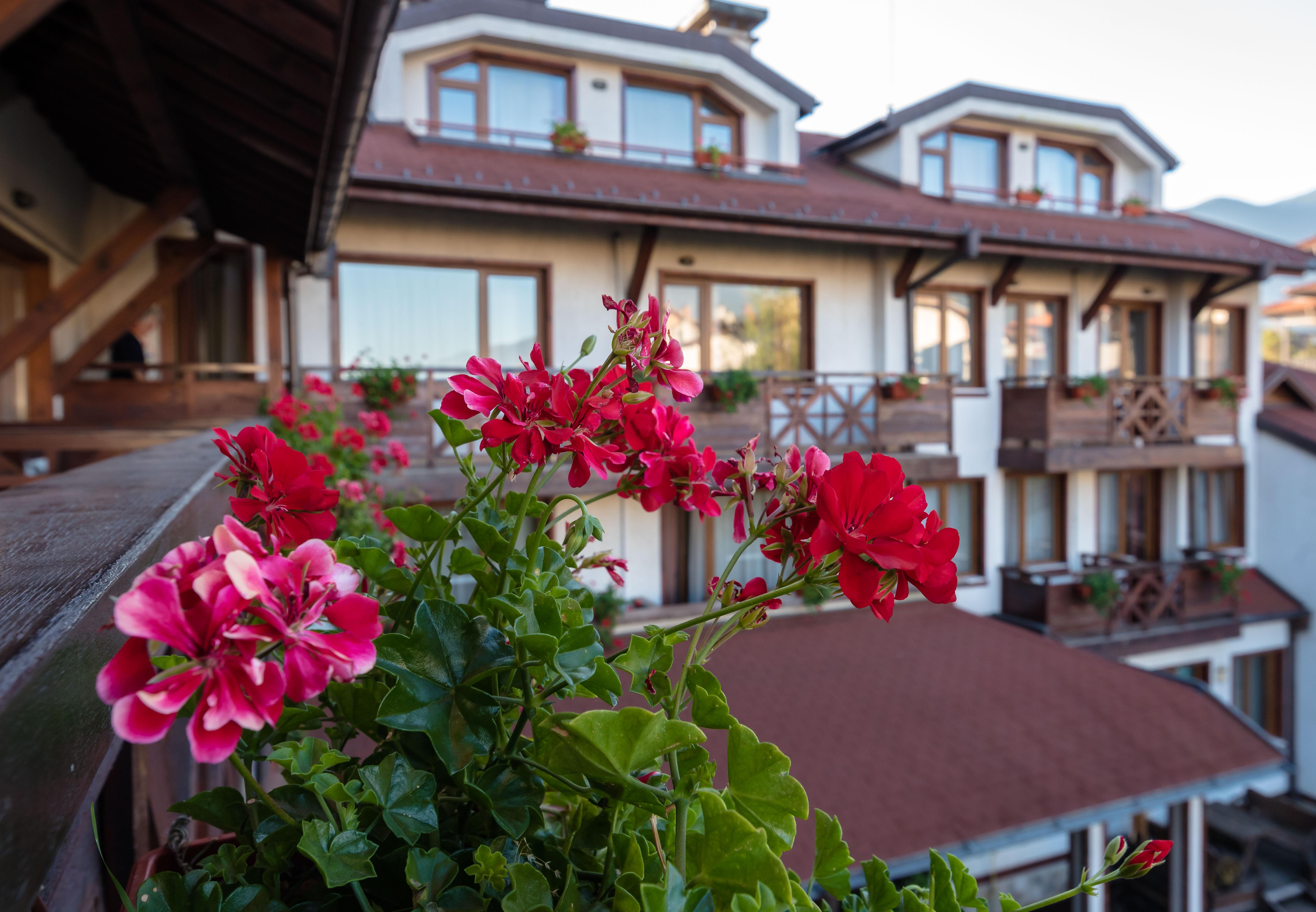 Evelina Palace Hotel Bansko Exterior foto