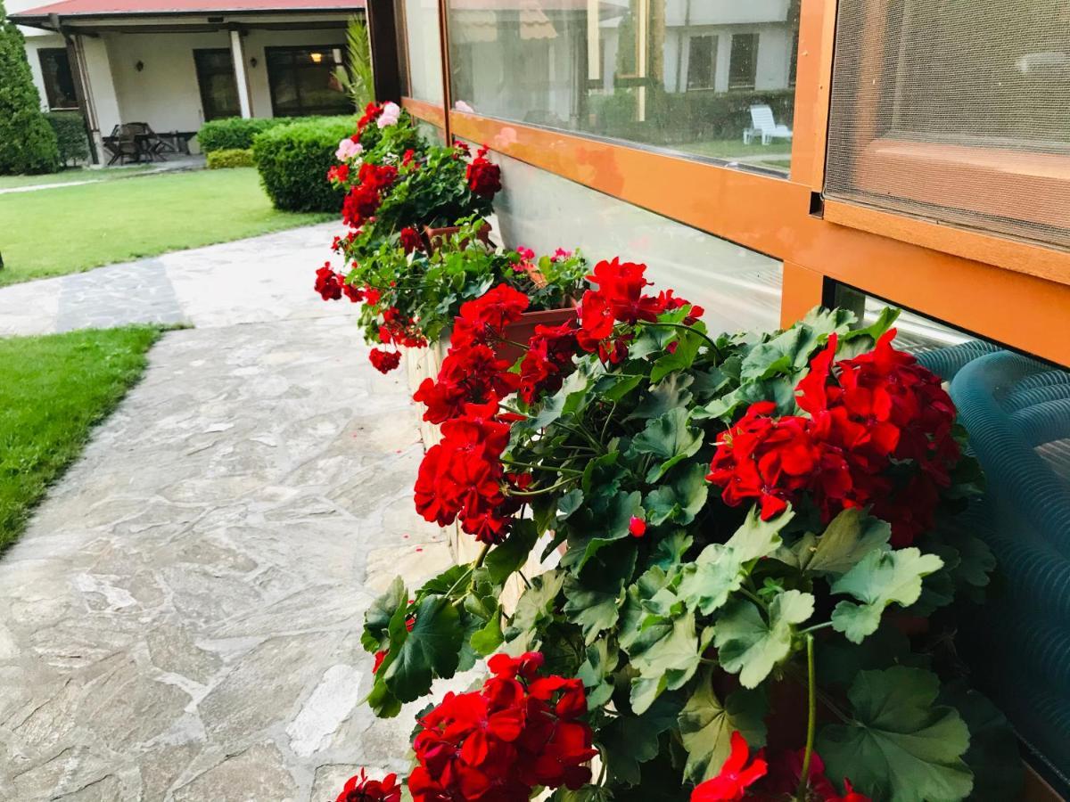 Evelina Palace Hotel Bansko Exterior foto